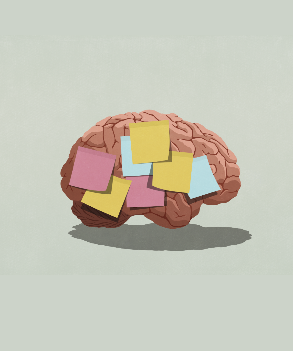 Illustration of colourful sticky notes on a brain. 